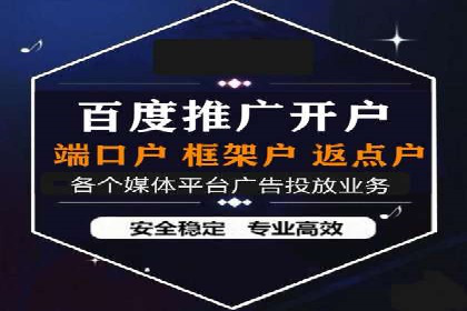 百度竞价排名服务的广告投放技巧与策略